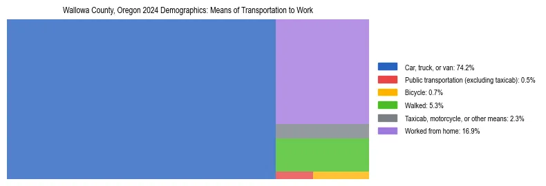 Treemap showing means of transportation to work distribution in Wallowa County, Oregon.