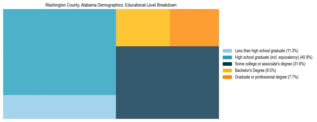 Treemap chart illustrating the educational attainment breakdown for population 25 years and over in Washington County, Alabama.