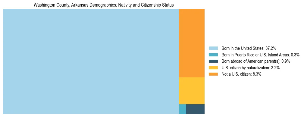 Treemap showing the population distribution by nativity and citizenship status in Washington County, Arkansas based on U.S. Census data.