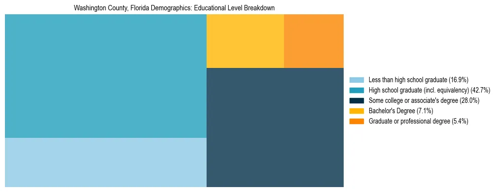 Treemap chart illustrating the educational attainment breakdown for population 25 years and over in Washington County, Florida.