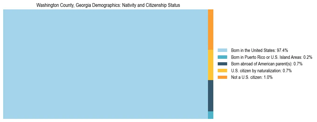 Treemap showing the population distribution by nativity and citizenship status in Washington County, Georgia based on U.S. Census data.