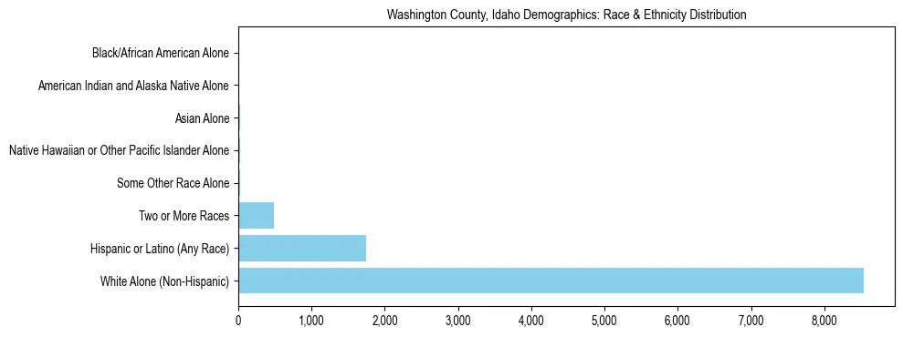 Race and Ethnicity Distribution Chart for Washington County, Idaho