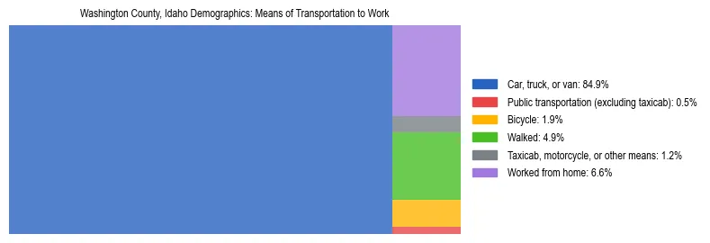 Treemap showing means of transportation to work distribution in Washington County, Idaho.