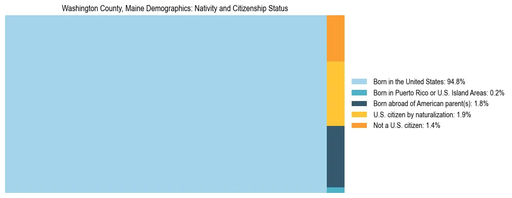 Treemap showing population distribution by nativity and citizenship status in Washington County, Maine based on 2023 ACS data.