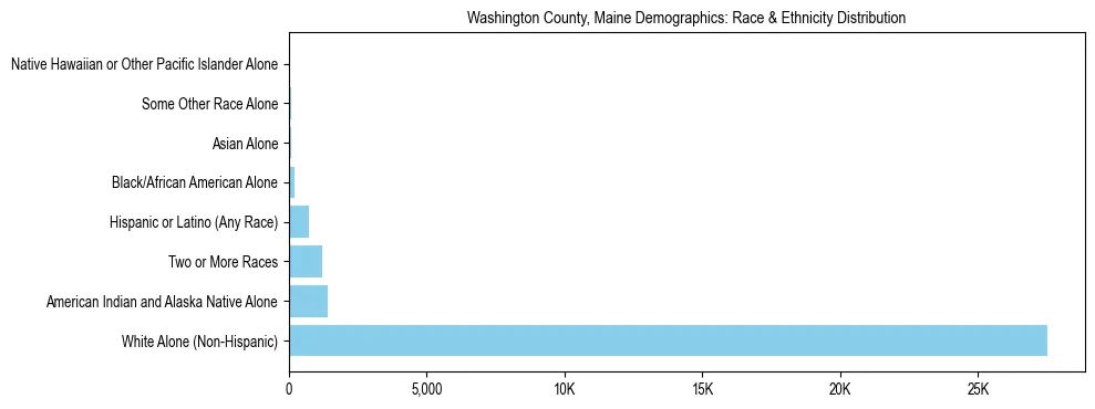 Pie chart showing the racial and ethnic composition of Washington County, Maine based on 2023 ACS data.
