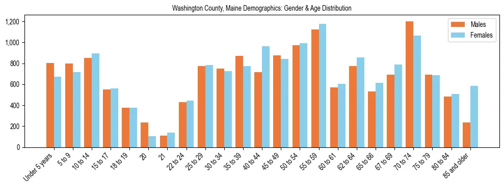Population pyramid for Washington County, Maine showing male vs female age distribution based on 2023 ACS data.