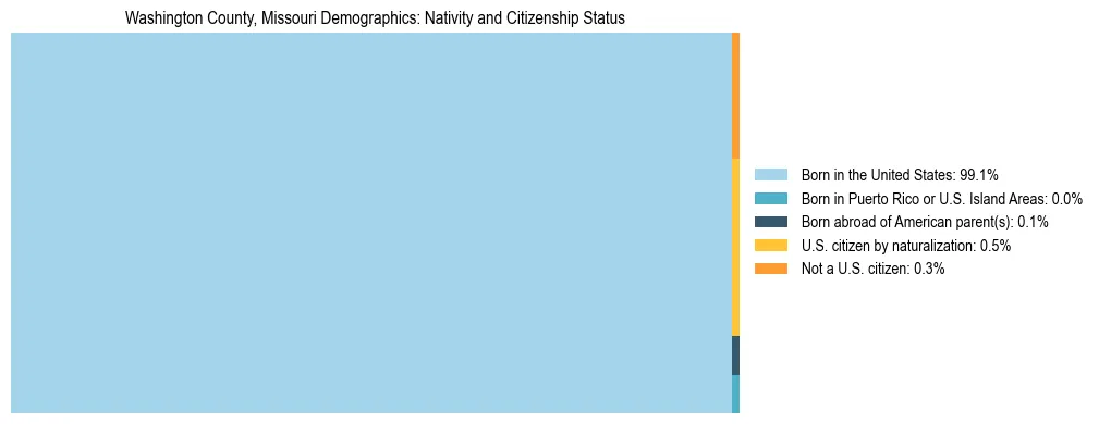 Treemap showing the population distribution by nativity and citizenship status in Washington County, Missouri based on U.S. Census data.