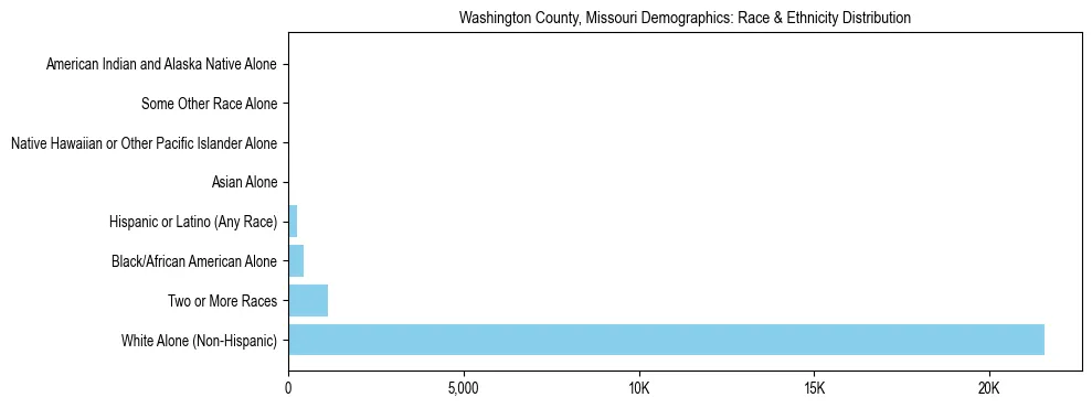 Race and Ethnicity Distribution Chart for Washington County, Missouri