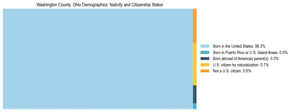 Treemap showing the population distribution by nativity and citizenship status in Washington County, Ohio based on U.S. Census data.
