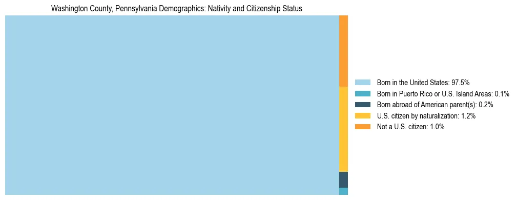 Treemap showing the population distribution by nativity and citizenship status in Washington County, Pennsylvania based on U.S. Census data.