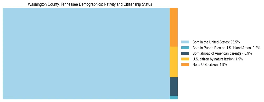 Treemap showing the population distribution by nativity and citizenship status in Washington County, Tennessee based on U.S. Census data.