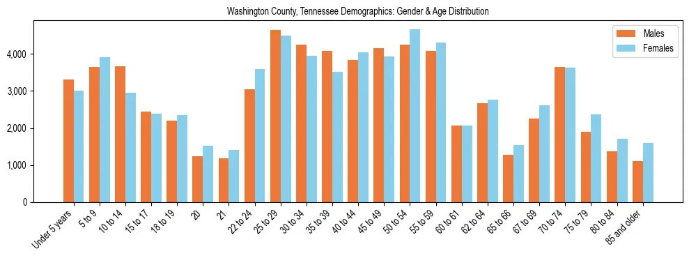 Bar chart showing the population distribution of Washington County, Tennessee by age group and gender, based on 2023 ACS data.