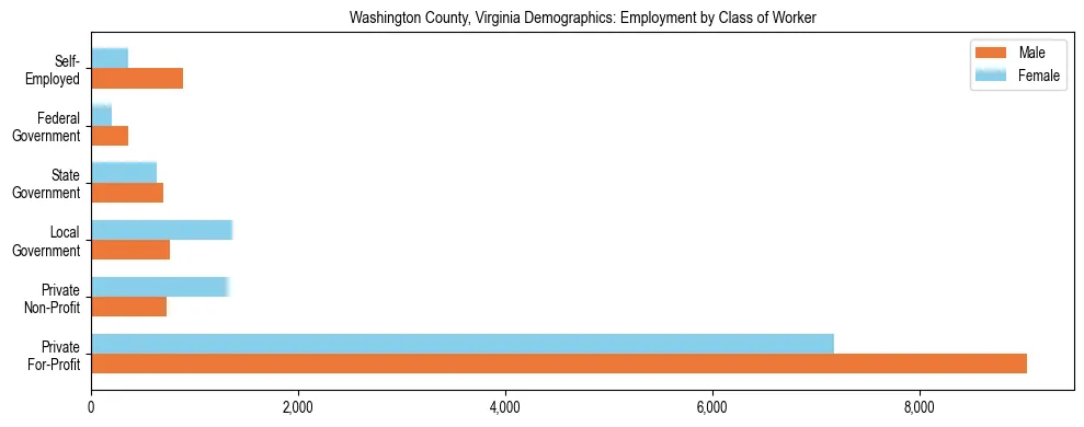 Horizontal bar chart showing employment distribution by class of worker and gender in Washington County, Virginia, based on 2023 ACS data.