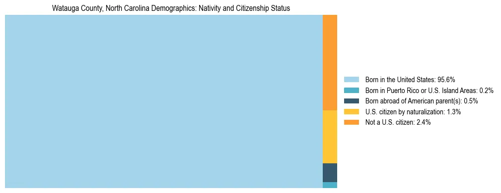 Treemap showing the population distribution by nativity and citizenship status in Watauga County, North Carolina based on U.S. Census data.