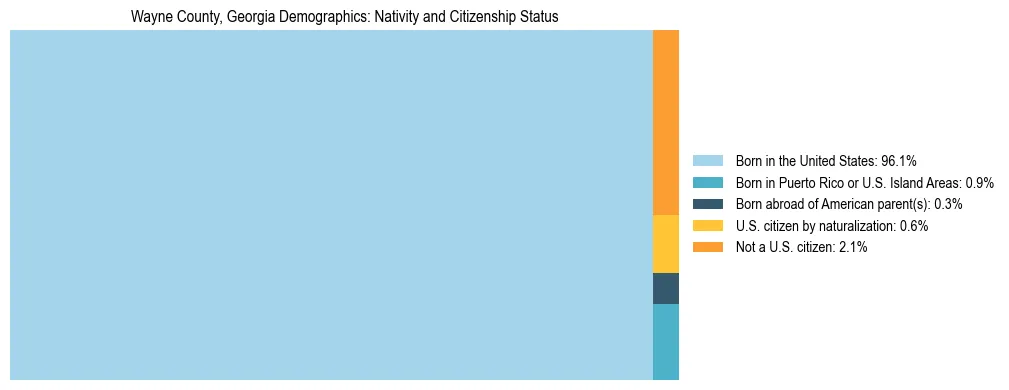 Treemap showing the population distribution by nativity and citizenship status in Wayne County, Georgia based on U.S. Census data.