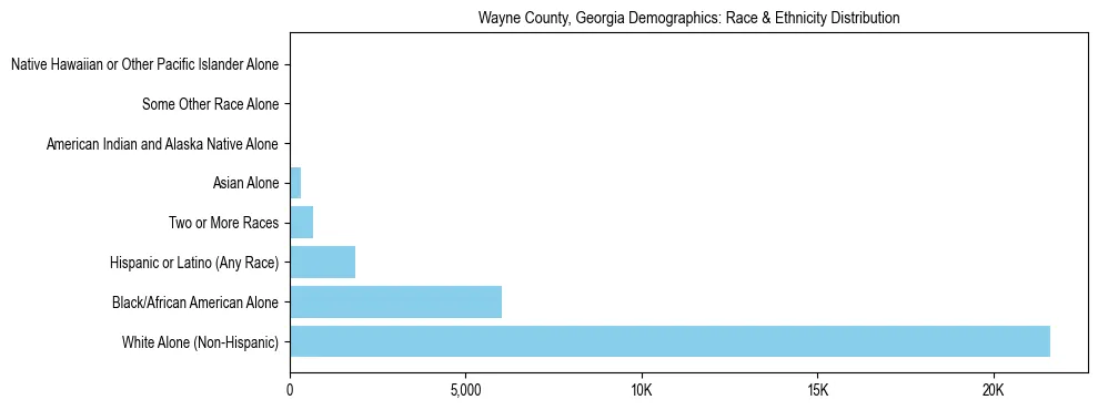 Race and Ethnicity Distribution Chart for Wayne County, Georgia