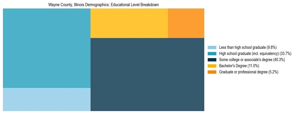 Treemap chart illustrating the educational attainment breakdown for population 25 years and over in Wayne County, Illinois.