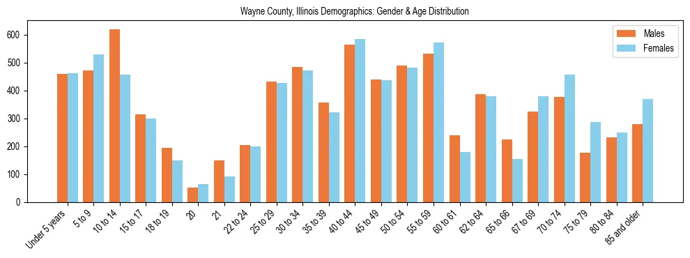 Bar chart showing the population distribution of Wayne County, Illinois by age group and gender, based on 2023 ACS data.