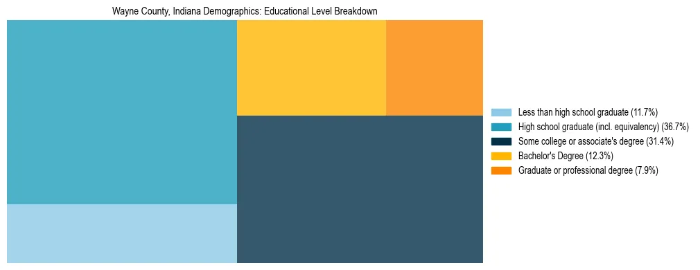 Treemap chart illustrating the educational attainment breakdown for population 25 years and over in Wayne County, Indiana.