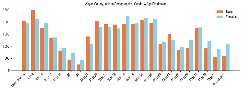 Bar chart showing the population distribution of Wayne County, Indiana by age group and gender, based on 2023 ACS data.
