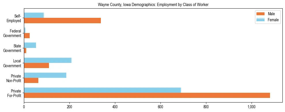 Horizontal bar chart showing employment distribution by class of worker and gender in Wayne County, Iowa, based on 2023 ACS data.