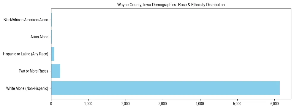 Race and Ethnicity Distribution Chart for Wayne County, Iowa