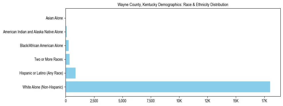 Race and Ethnicity Distribution Chart for Wayne County, Kentucky
