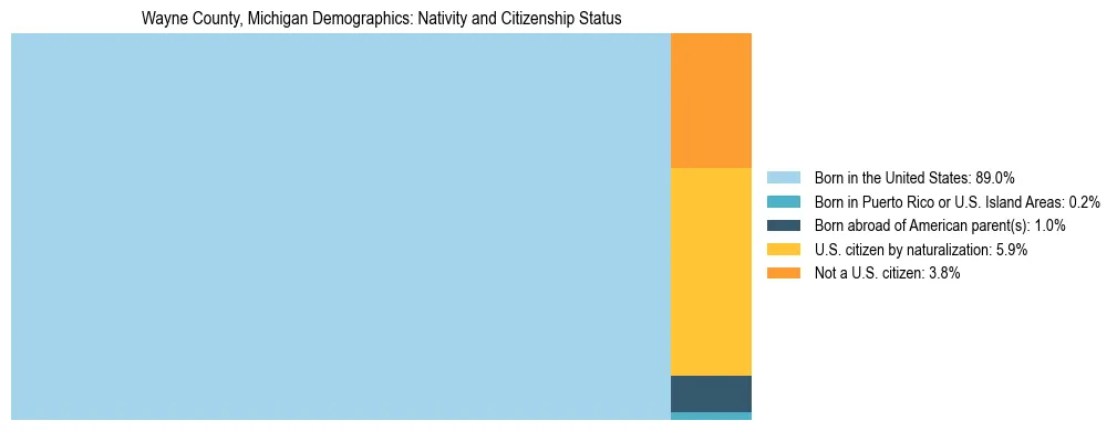Treemap showing the population distribution by nativity and citizenship status in Wayne County, Michigan based on U.S. Census data.