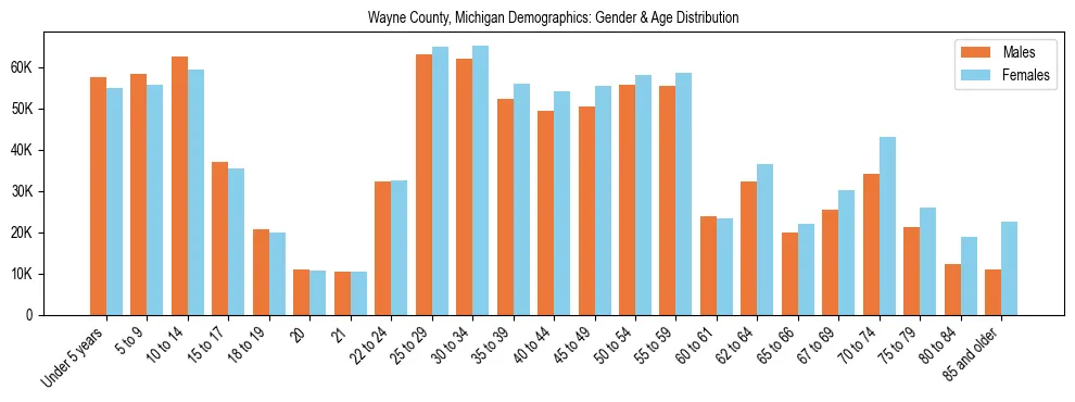 Bar chart showing the population distribution of Wayne County, Michigan by age group and gender, based on 2023 ACS data.