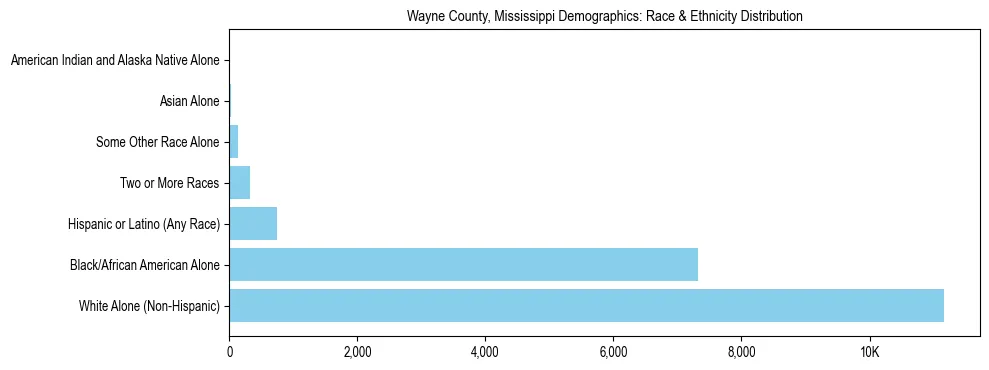 Race and Ethnicity Distribution Chart for Wayne County, Mississippi
