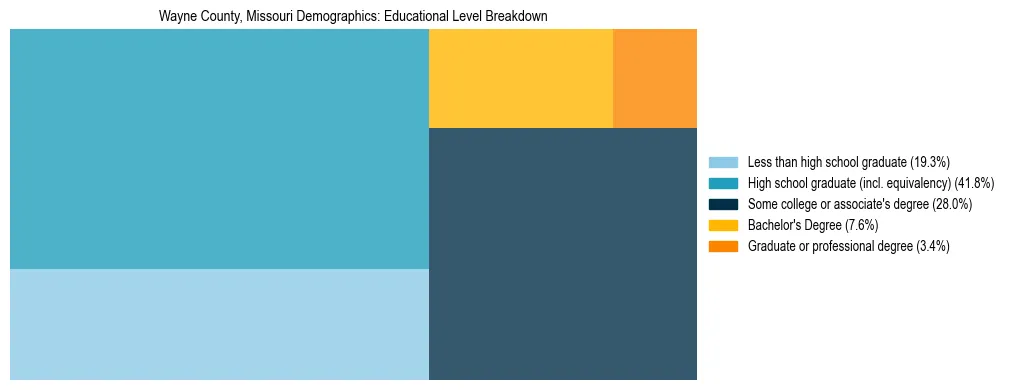 Treemap chart illustrating the educational attainment breakdown for population 25 years and over in Wayne County, Missouri.