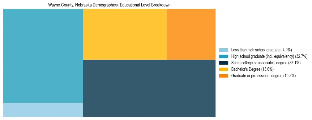 Treemap chart illustrating the educational attainment breakdown for population 25 years and over in Wayne County, Nebraska.