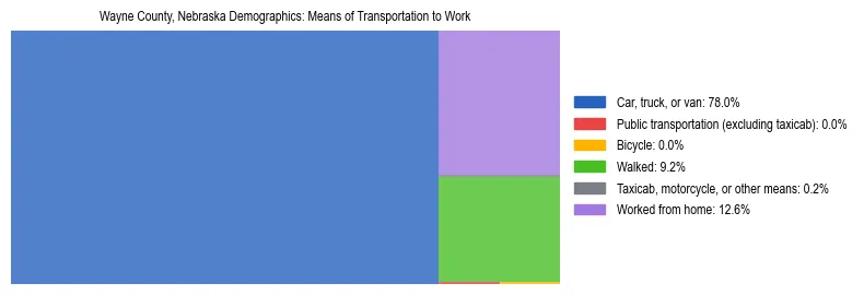 Treemap showing means of transportation to work distribution in Wayne County, Nebraska.