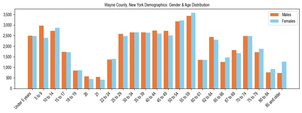 Bar chart showing the population distribution of Wayne County, New York by age group and gender, based on 2023 ACS data.