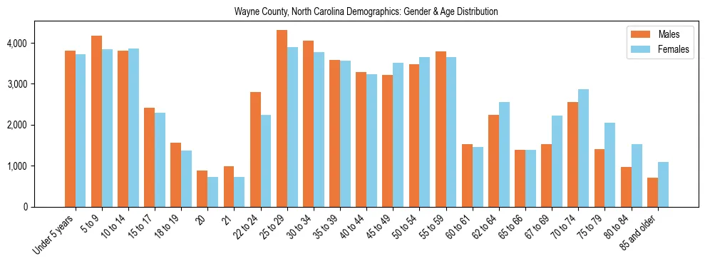 Bar chart showing the population distribution of Wayne County, North Carolina by age group and gender, based on 2023 ACS data.