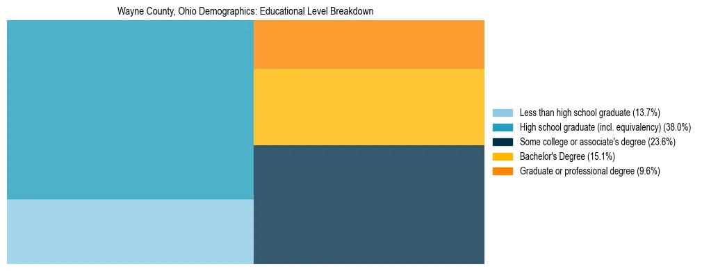 Treemap chart illustrating the educational attainment breakdown for population 25 years and over in Wayne County, Ohio.
