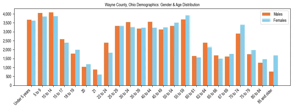 Bar chart showing the population distribution of Wayne County, Ohio by age group and gender, based on 2023 ACS data.