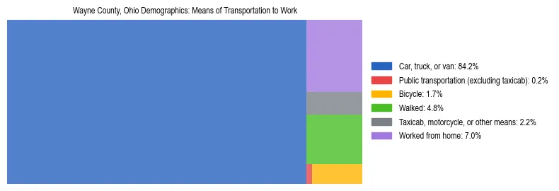 Treemap showing means of transportation to work distribution in Wayne County, Ohio.