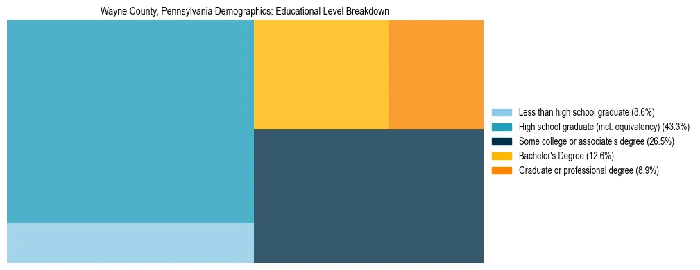 Treemap chart illustrating the educational attainment breakdown for population 25 years and over in Wayne County, Pennsylvania.
