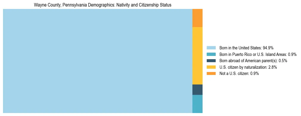 Treemap showing the population distribution by nativity and citizenship status in Wayne County, Pennsylvania based on U.S. Census data.