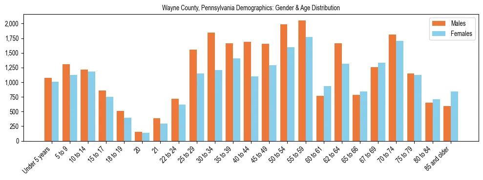 Bar chart showing the population distribution of Wayne County, Pennsylvania by age group and gender, based on 2023 ACS data.
