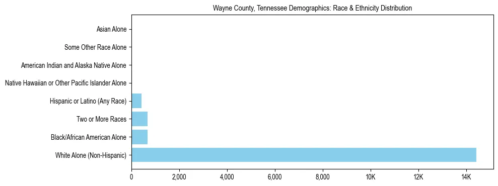 Race and Ethnicity Distribution Chart for Wayne County, Tennessee