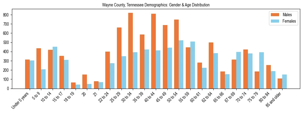 Bar chart showing the population distribution of Wayne County, Tennessee by age group and gender, based on 2023 ACS data.