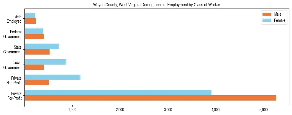 Horizontal bar chart showing employment distribution by class of worker and gender in Wayne County, West Virginia, based on 2023 ACS data.