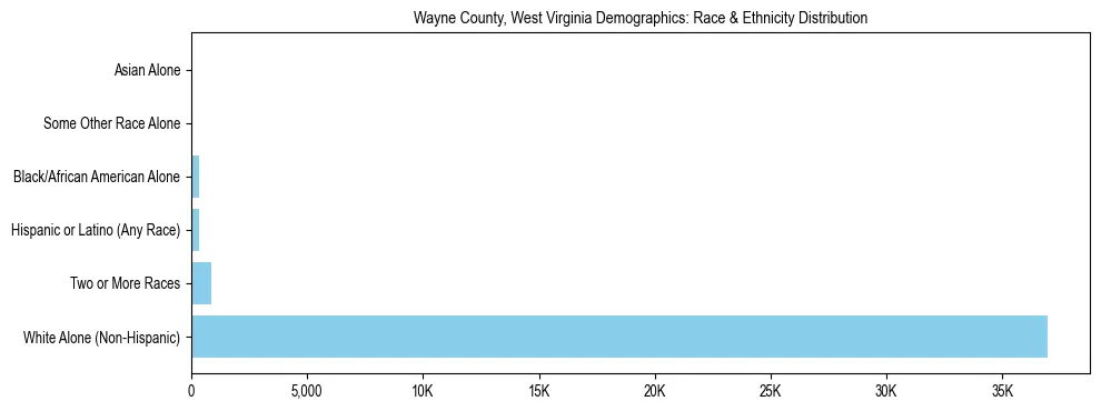 Race and Ethnicity Distribution Chart for Wayne County, West Virginia