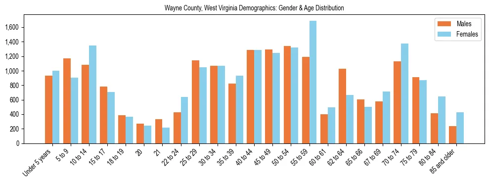 Bar chart showing the population distribution of Wayne County, West Virginia by age group and gender, based on 2023 ACS data.