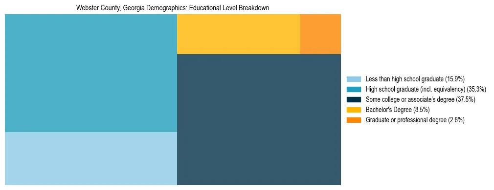 Treemap chart illustrating the educational attainment breakdown for population 25 years and over in Webster County, Georgia.