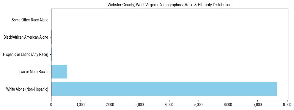 Race and Ethnicity Distribution Chart for Webster County, West Virginia