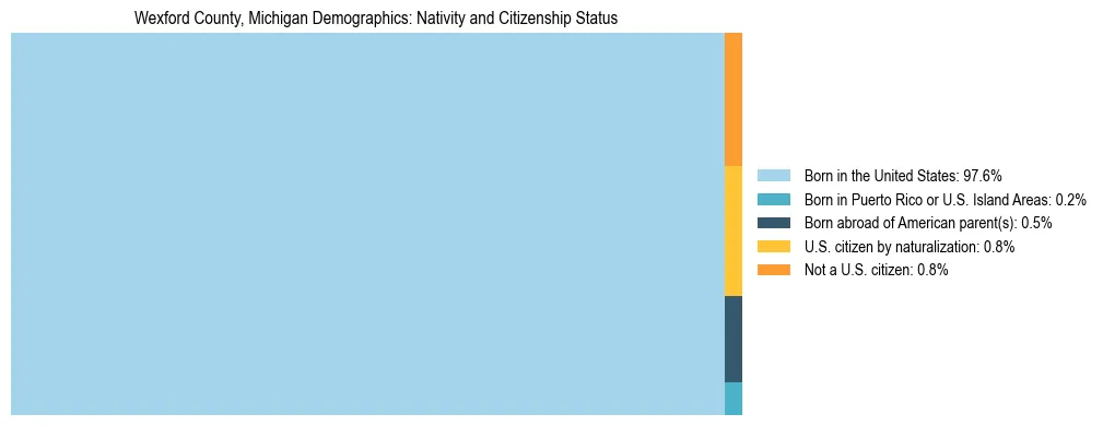 Treemap showing the population distribution by nativity and citizenship status in Wexford County, Michigan based on U.S. Census data.