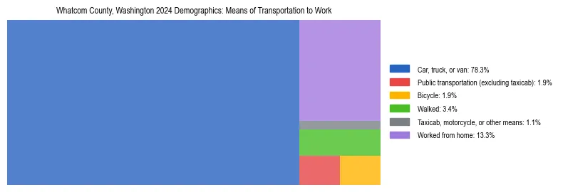 Treemap showing means of transportation to work distribution in Whatcom County, Washington.